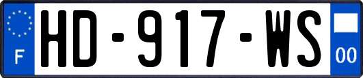 HD-917-WS