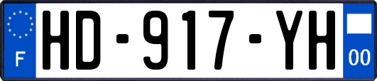 HD-917-YH