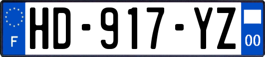 HD-917-YZ
