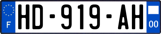 HD-919-AH