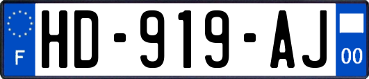 HD-919-AJ