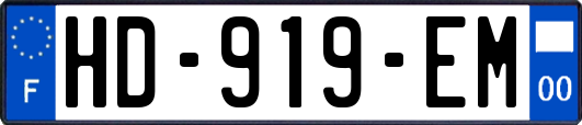 HD-919-EM