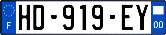HD-919-EY