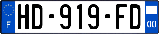 HD-919-FD