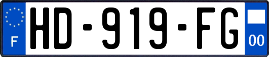 HD-919-FG