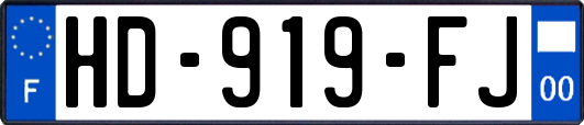 HD-919-FJ