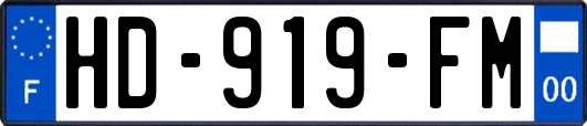 HD-919-FM