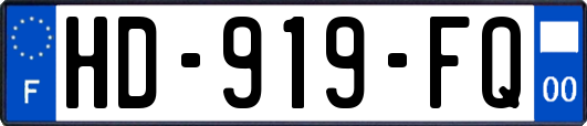 HD-919-FQ