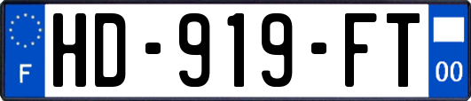 HD-919-FT