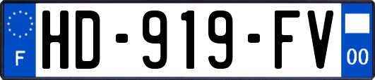 HD-919-FV