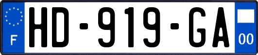 HD-919-GA