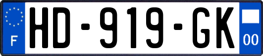 HD-919-GK