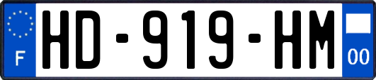 HD-919-HM