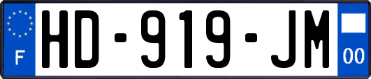 HD-919-JM