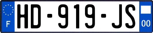 HD-919-JS