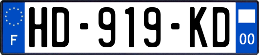 HD-919-KD