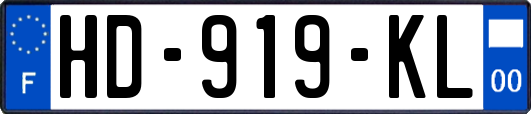 HD-919-KL