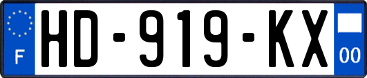 HD-919-KX
