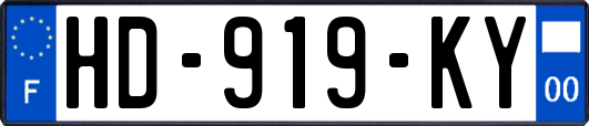 HD-919-KY