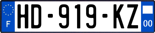 HD-919-KZ