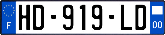 HD-919-LD
