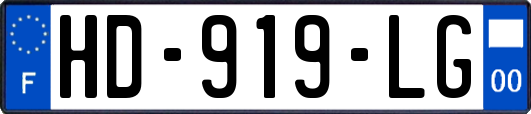HD-919-LG