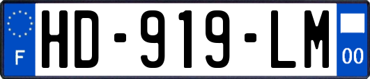 HD-919-LM