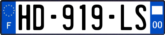 HD-919-LS