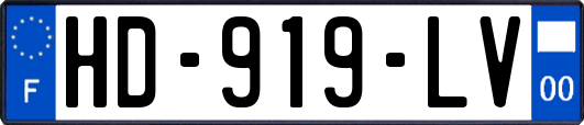 HD-919-LV