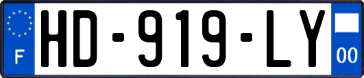 HD-919-LY