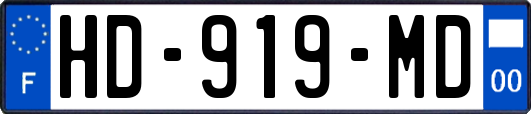HD-919-MD