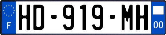 HD-919-MH