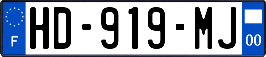HD-919-MJ