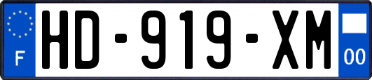 HD-919-XM