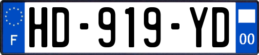 HD-919-YD