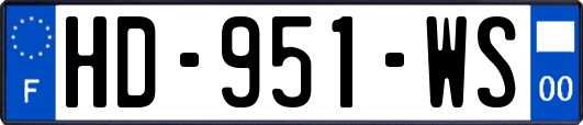 HD-951-WS
