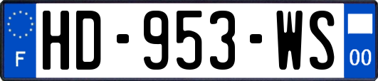 HD-953-WS