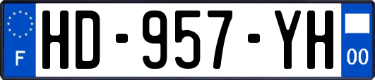 HD-957-YH