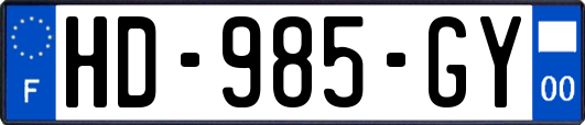 HD-985-GY