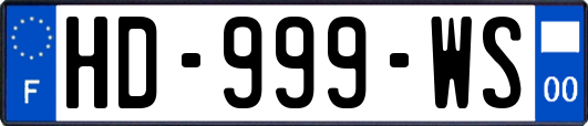HD-999-WS