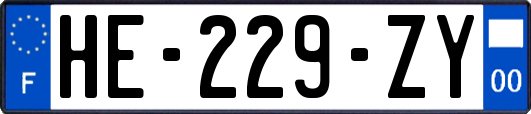 HE-229-ZY