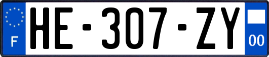 HE-307-ZY
