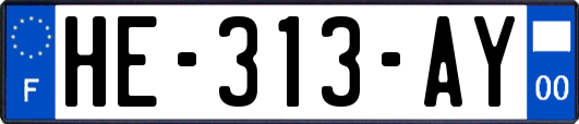 HE-313-AY