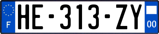 HE-313-ZY