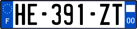 HE-391-ZT