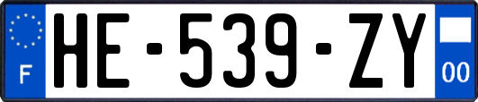 HE-539-ZY