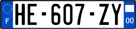 HE-607-ZY