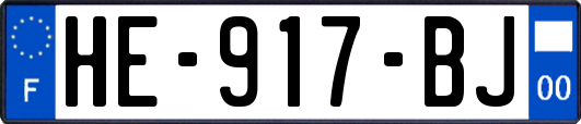 HE-917-BJ