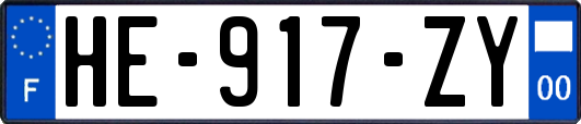 HE-917-ZY