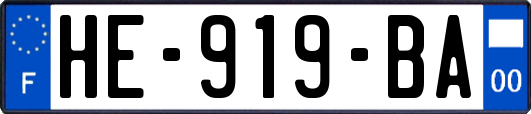 HE-919-BA